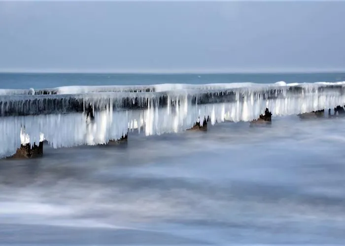 Przy Plazy Διαμέρισμα