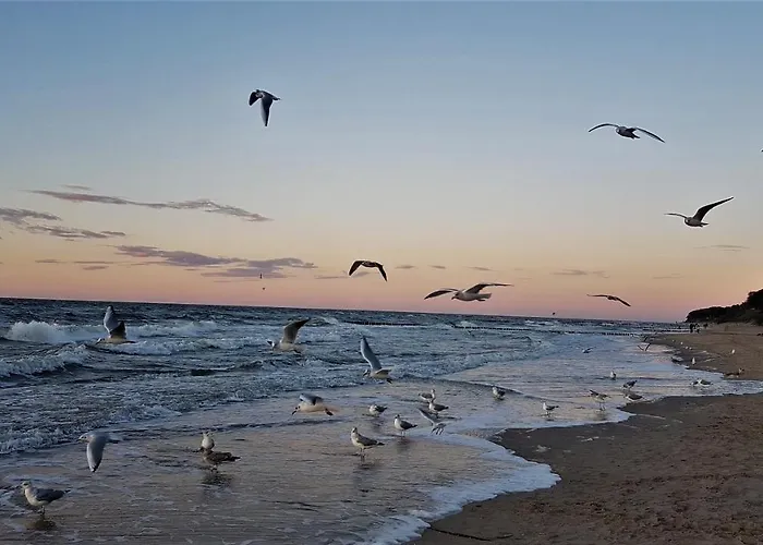 Διαμέρισμα Przy Plazy *